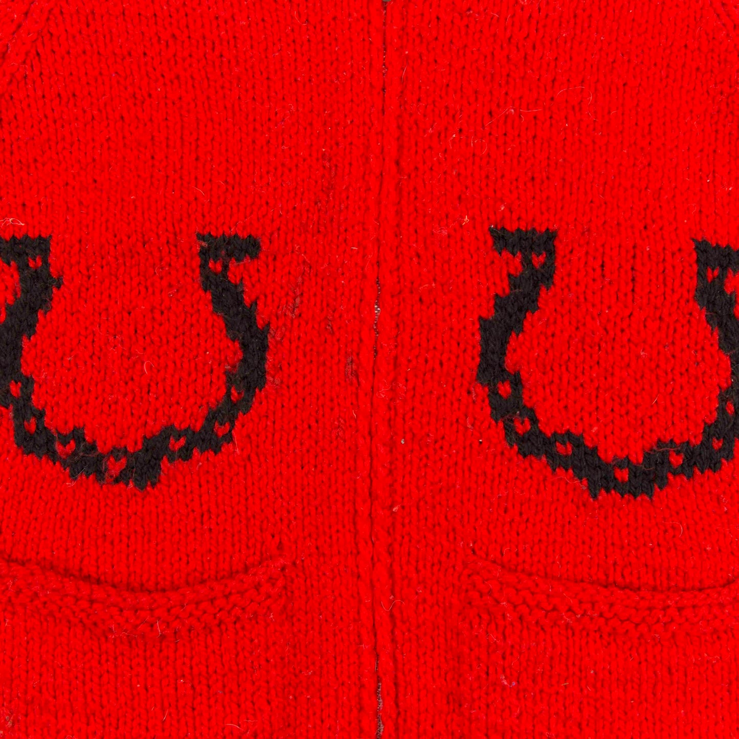 Cowichan Cardigan