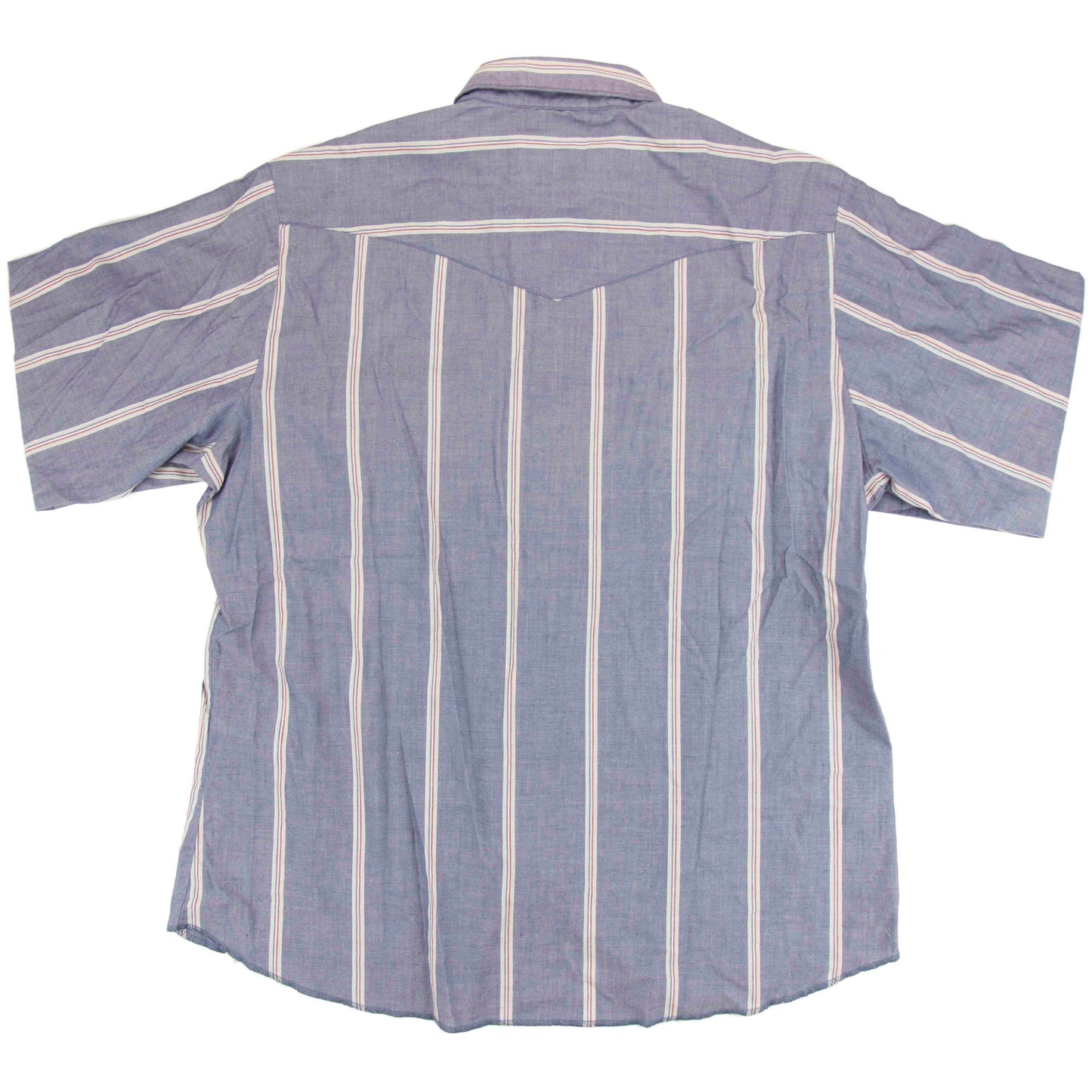Wrangler - XL/TG