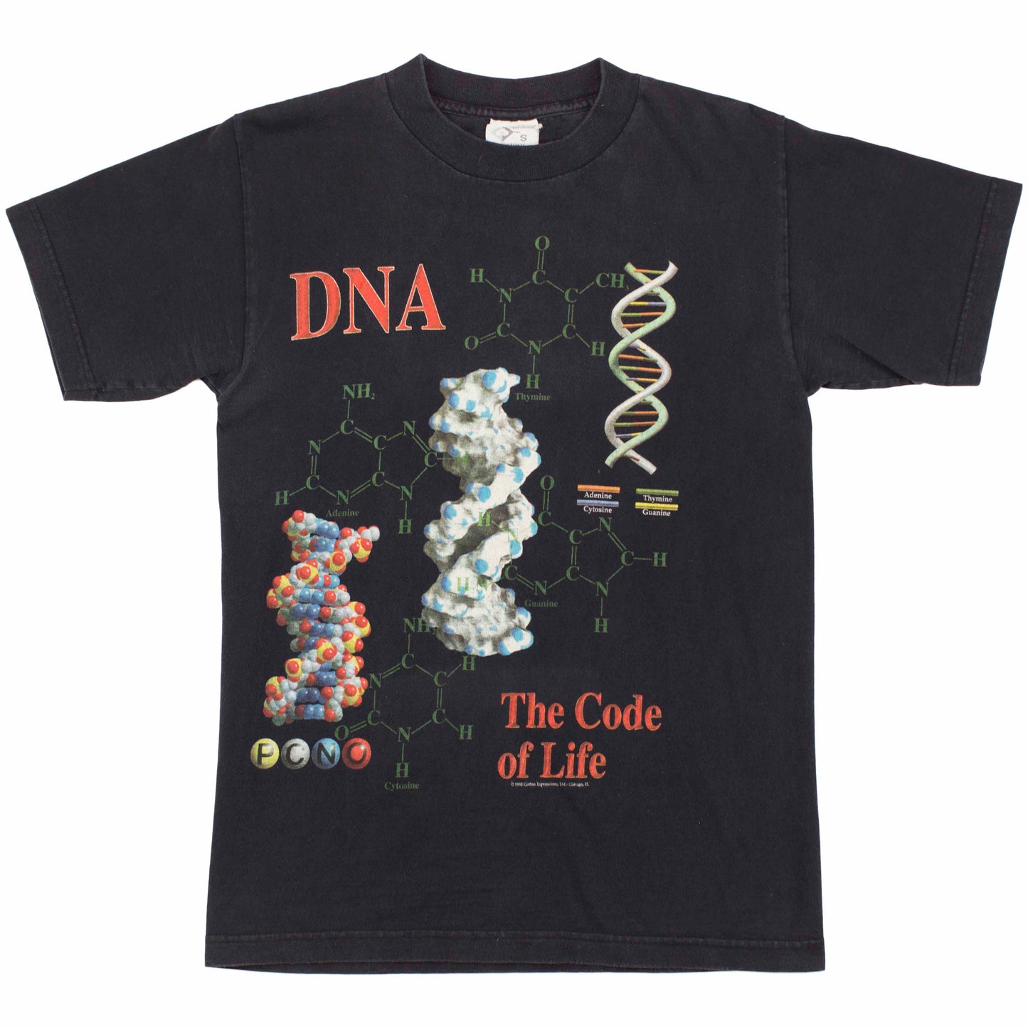 DNA - S/P